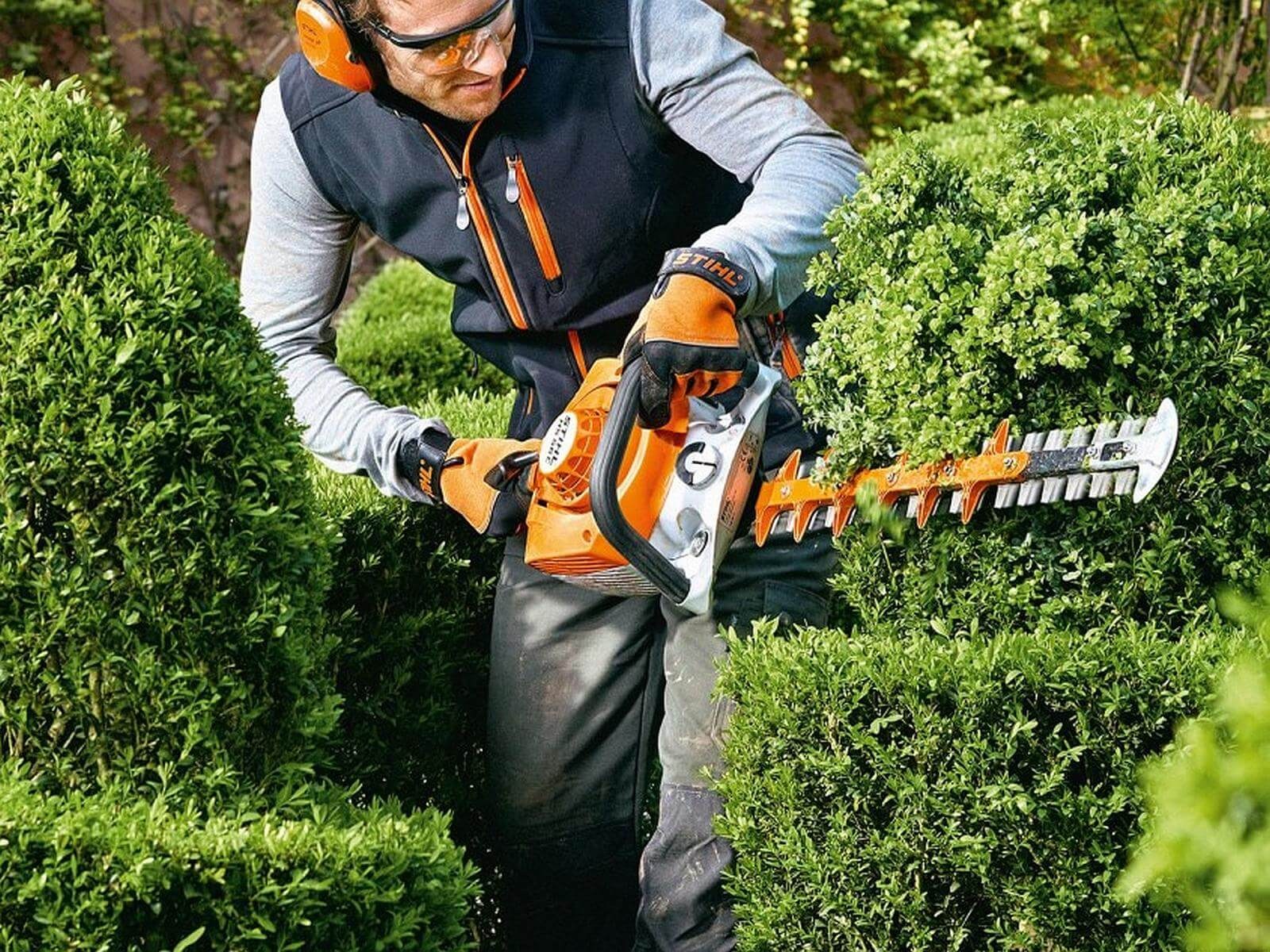foarfeca gard viu stihl 6