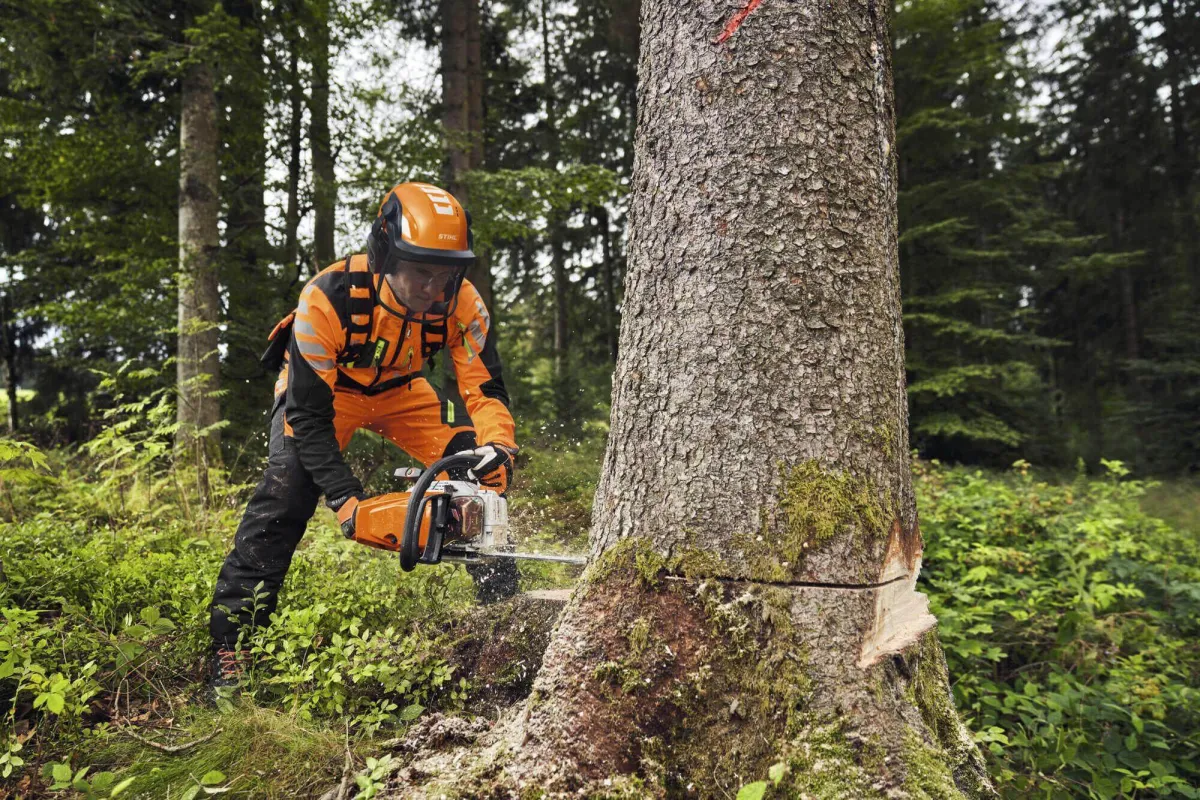 drujba stihl 2