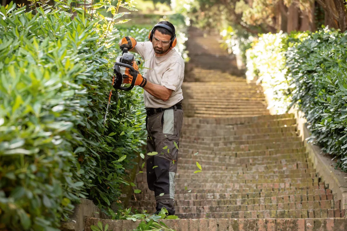 foarfeca gard viu stihl 3