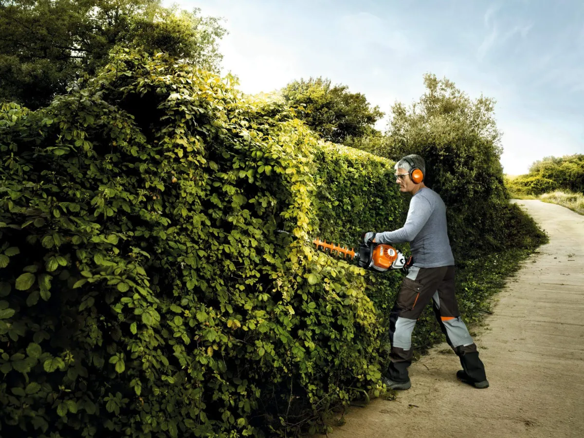 foarfeca gard viu stihl 2